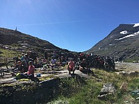 IMG 4560