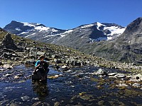 IMG 4594