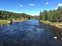 IMG 7743