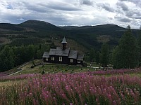IMG 7764