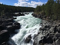 IMG 8475