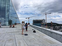 IMG 8559