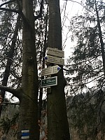 v údolí Bystřive - Severní Hvězda (44)