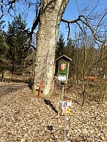 v údolí Bystřive - Severní Hvězda (5)
