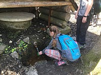 IMG 2458