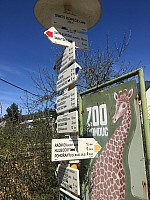 IMG 2480