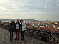 IMG 1020