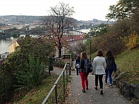 IMG 1022