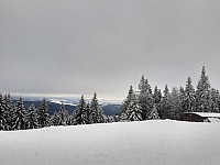 1 - Petříkov - Paprsek - konec roku 2019 KADAO (12)