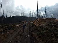 PSTRUŽÍ (50)