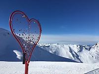 IMG 5336