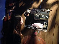 IMG 1712