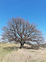 Značení Gunramovice - Bučina (14)