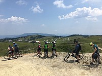 IMG 0388