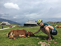 IMG 0410