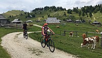 IMG 0469