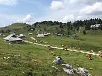 IMG 0478