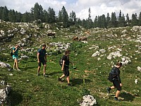 IMG 0584