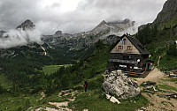 IMG 0718