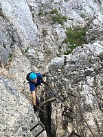 IMG 0890