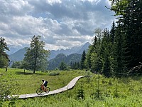 IMG 3755