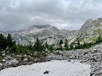 IMG 3868