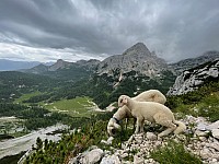 IMG 3878