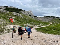 IMG 3884