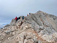 IMG 3937