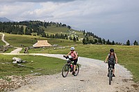 IMG 5061