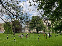IMG 3362