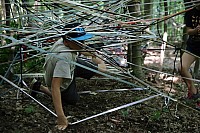 IMG 4204