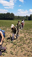 Šífry - Sv.Heřmanice, Jakartovice - čundr s mladšími (17)