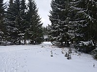 Jeseníky - Sedlovka (11)