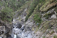 IMG 2823