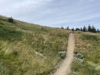 IMG 9023