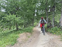IMG 9027