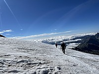 IMG 9252