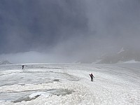 IMG 9317