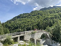 IMG 9391