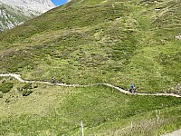 IMG 9501