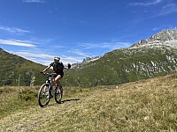 IMG 9531