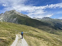 IMG 9537