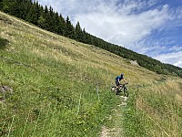 IMG 9602