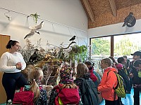 IMG 8814