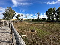 IMG 8819