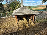 IMG 8820