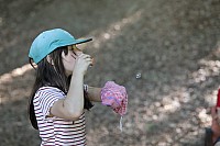 IMG 0817