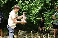 IMG 1127