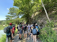 IMG 8742
